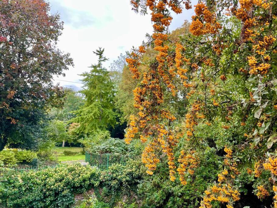 Vernon Place Town Centre, Vernon Cottage 3-Bed With Parking, 1A Vernon Court 2-Bed With Parking, 1B Studio No Parking, Off The High Street Next To Sandford Park Cheltenham Kültér fotó