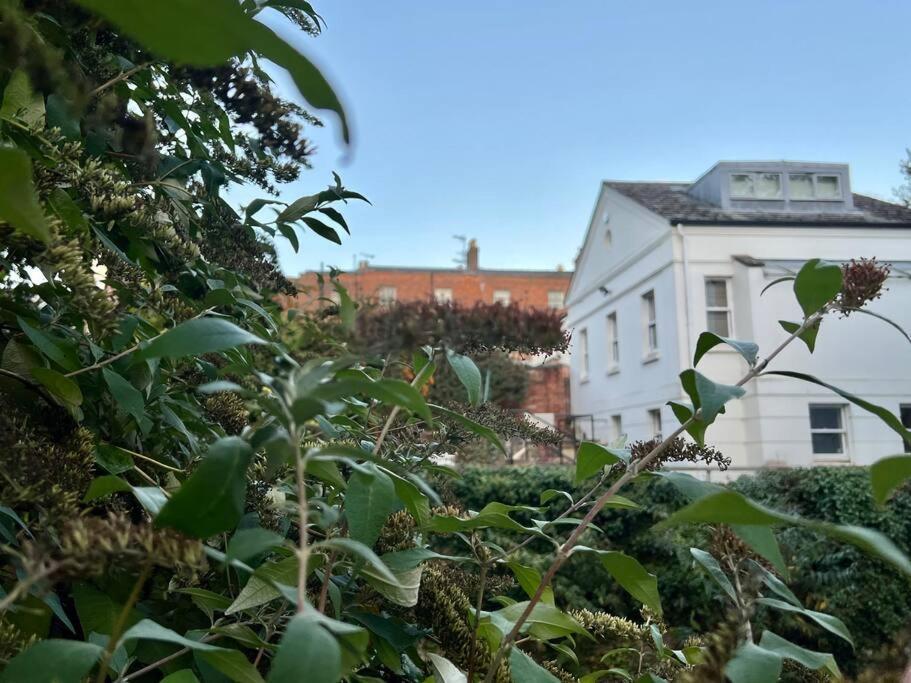 Vernon Place Town Centre, Vernon Cottage 3-Bed With Parking, 1A Vernon Court 2-Bed With Parking, 1B Studio No Parking, Off The High Street Next To Sandford Park Cheltenham Kültér fotó